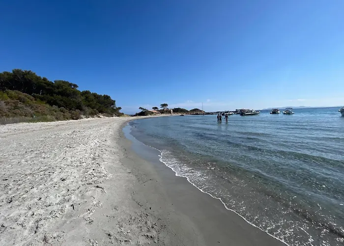 Villa Avec 200M De Jardin Prive La Sablhyeres